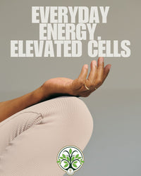 Thumbnail for Organic High Frequency Super Food- 